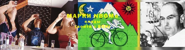 крисы Вязники