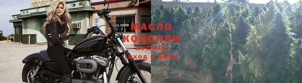 дмт Вязьма