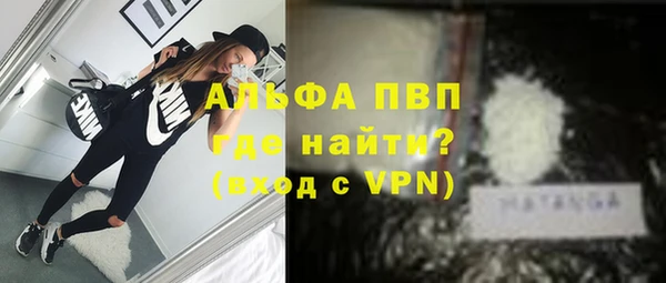 крисы Вязники