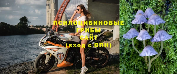крисы Вязники
