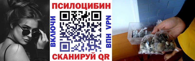 Купить  Новохопёрск  Галлюциногенные грибы Cubensis 